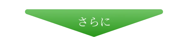 さらに